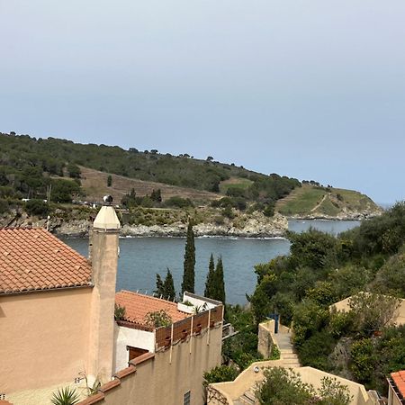 T3 Pieds Dans L'Eau Clim Wifi Terrasse Vue Mer Banyuls-sur-Mer Bagian luar foto