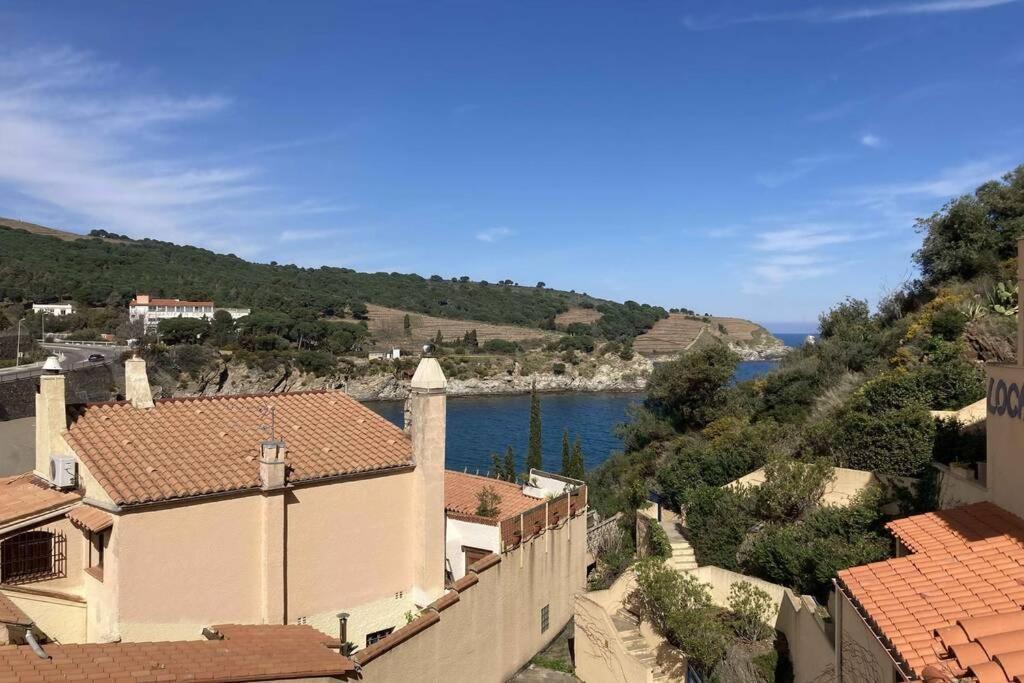 T3 Pieds Dans L'Eau Clim Wifi Terrasse Vue Mer Banyuls-sur-Mer Bagian luar foto